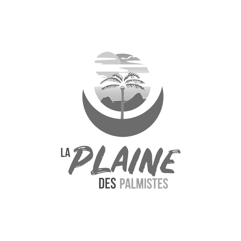 La Plaine des Palmistes
